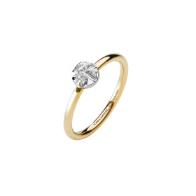 Schmuckwerk Alpen Ring GR1605-GG