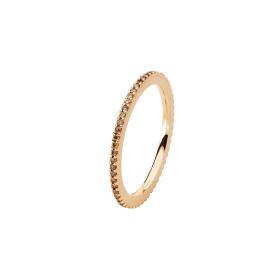 Schmuckwerk Alpen Ring GT605-RG-BB