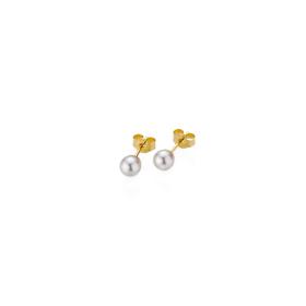 Gellner Basics Ohrstecker 5-23680-01