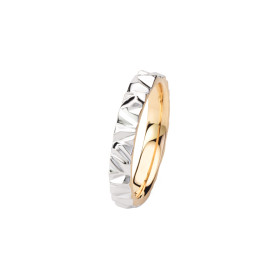 Schmuckwerk Alpen Ring GR1240-GG