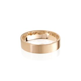 Schmuckwerk Alpen Ring GT270-RG