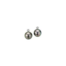 Gellner H2O Ohrstecker 5-22020-04