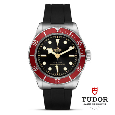         Automatik, TUDOR Black Bay