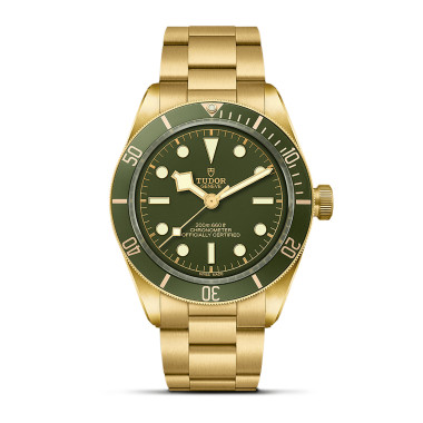         Automatik, TUDOR Black Bay 58 18K