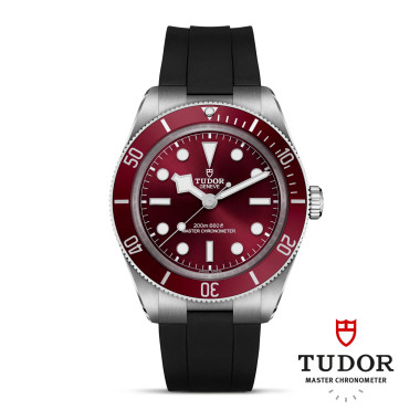         Automatik, TUDOR Black Bay 58