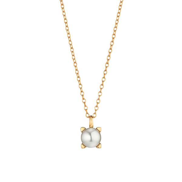 Gellner Delight Collier 5-24453-03