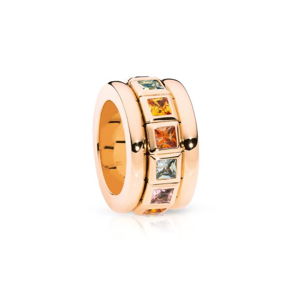 Tamara Comolli CURRICULUM VITAE Ring INDIAN Summer R-CV77-14-IS-rg