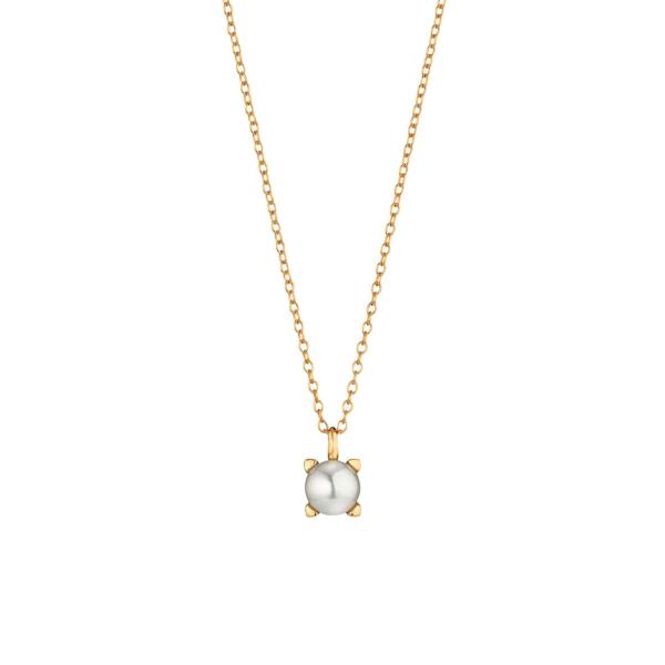 Gellner Delight Collier 5-24453-03