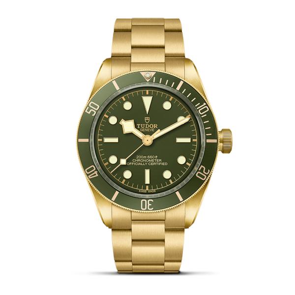 TUDOR Black Bay 58 18K M79018V-0006