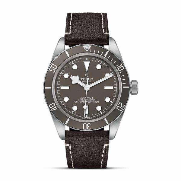 TUDOR Black Bay 58 925 M79010SG-0001