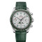 Leder, Platin, Grau