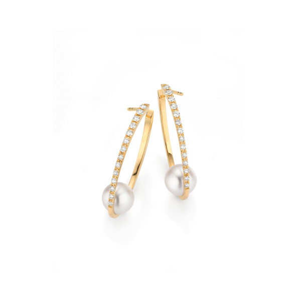         Gelbgold, Ohrringe, Gellner Wave Creole