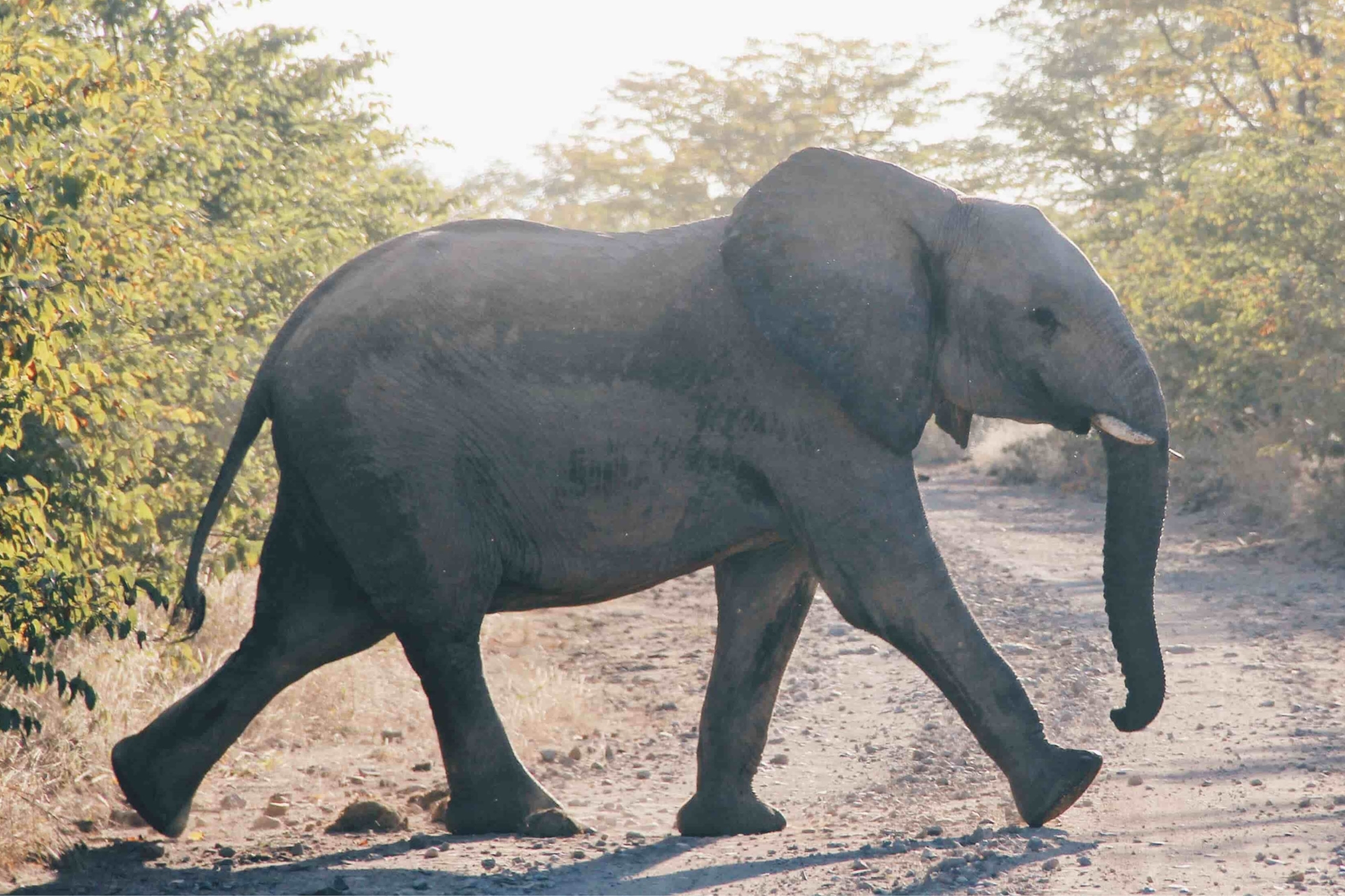 Beitragsbild 2 Beitragsbild 2