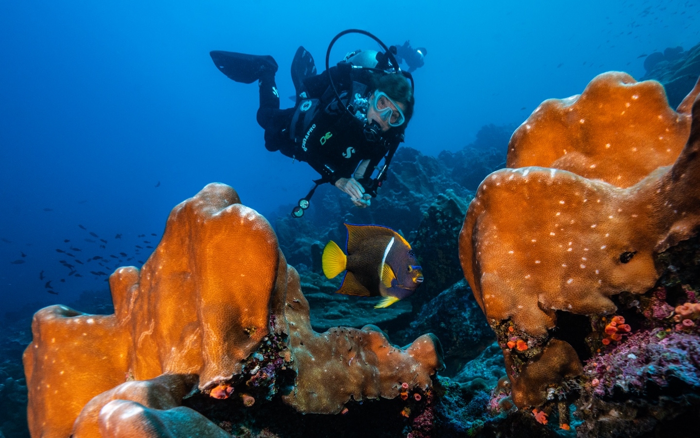 07.Two_Column_MB_Galapagos_22fg_078_sRGB_1440x900 07.Two_Column_MB_Galapagos_22fg_078_sRGB_1440x900