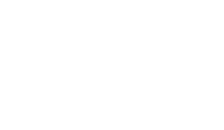 Diamant_Icon_weiss_Leicht