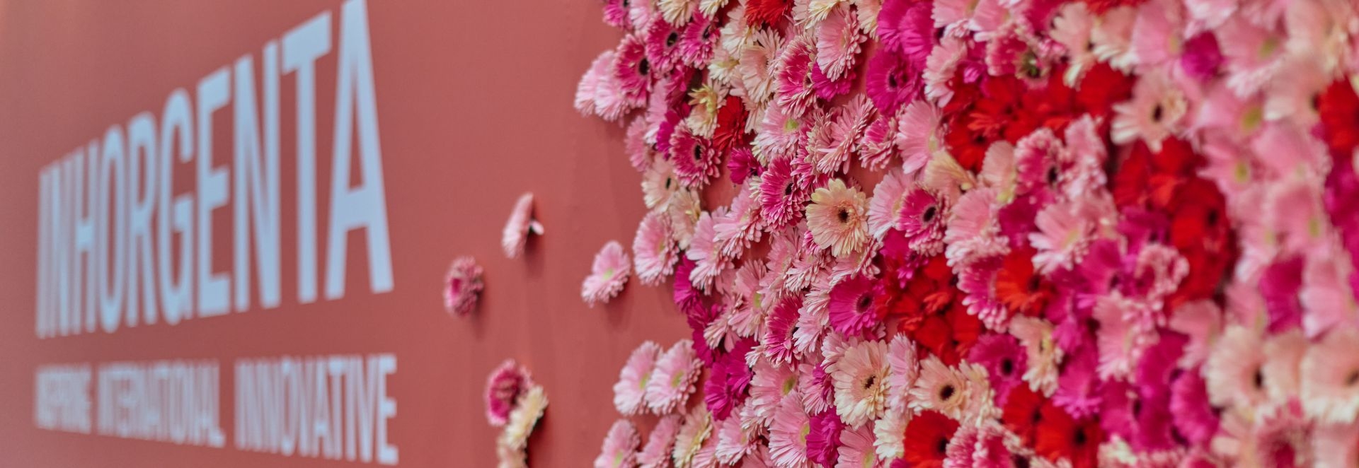 inhorgenta-2025-neuheiten-flower-wall-schmuckmesse