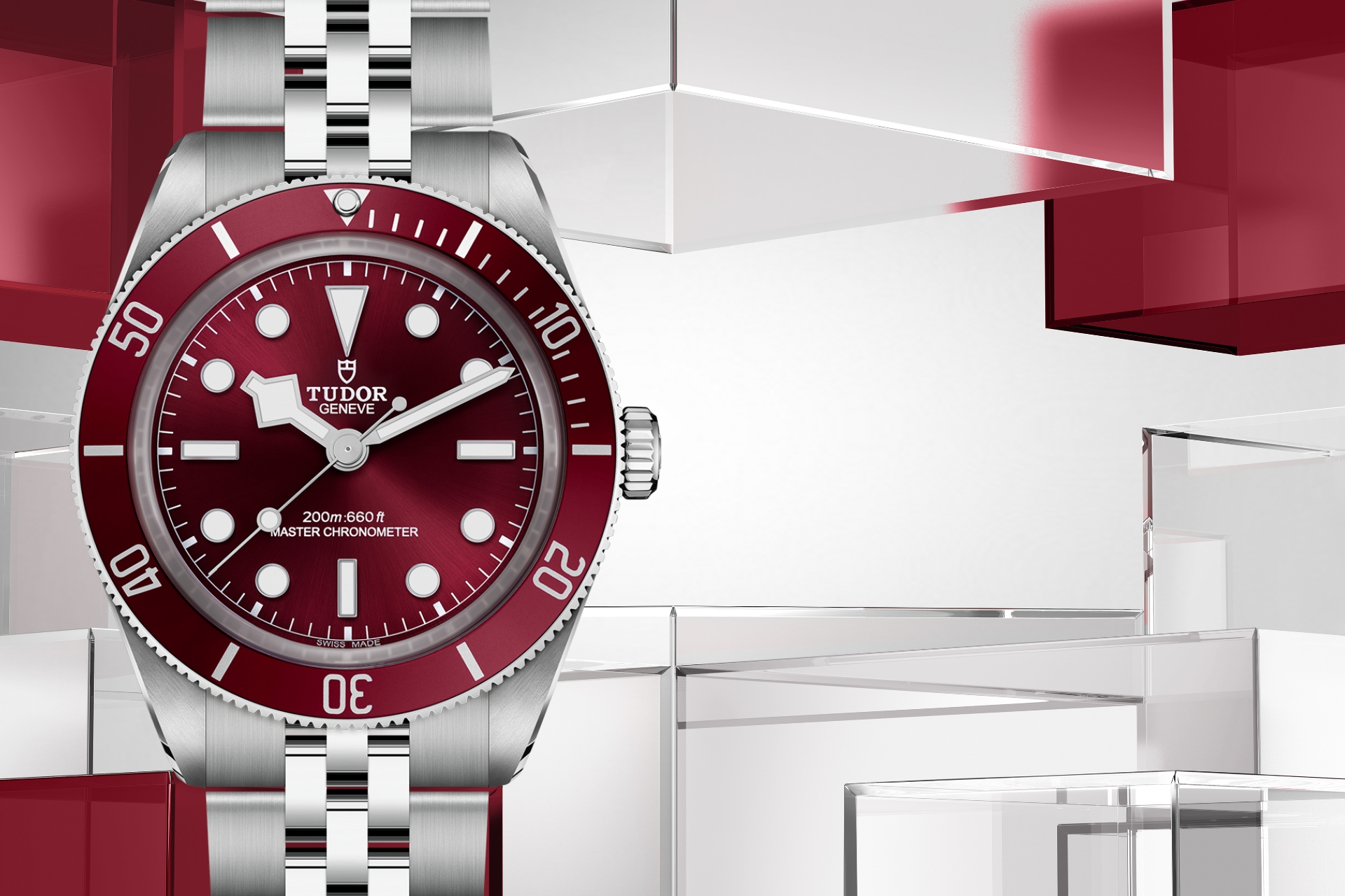 Tudor-banner (24) Tudor-banner (24)