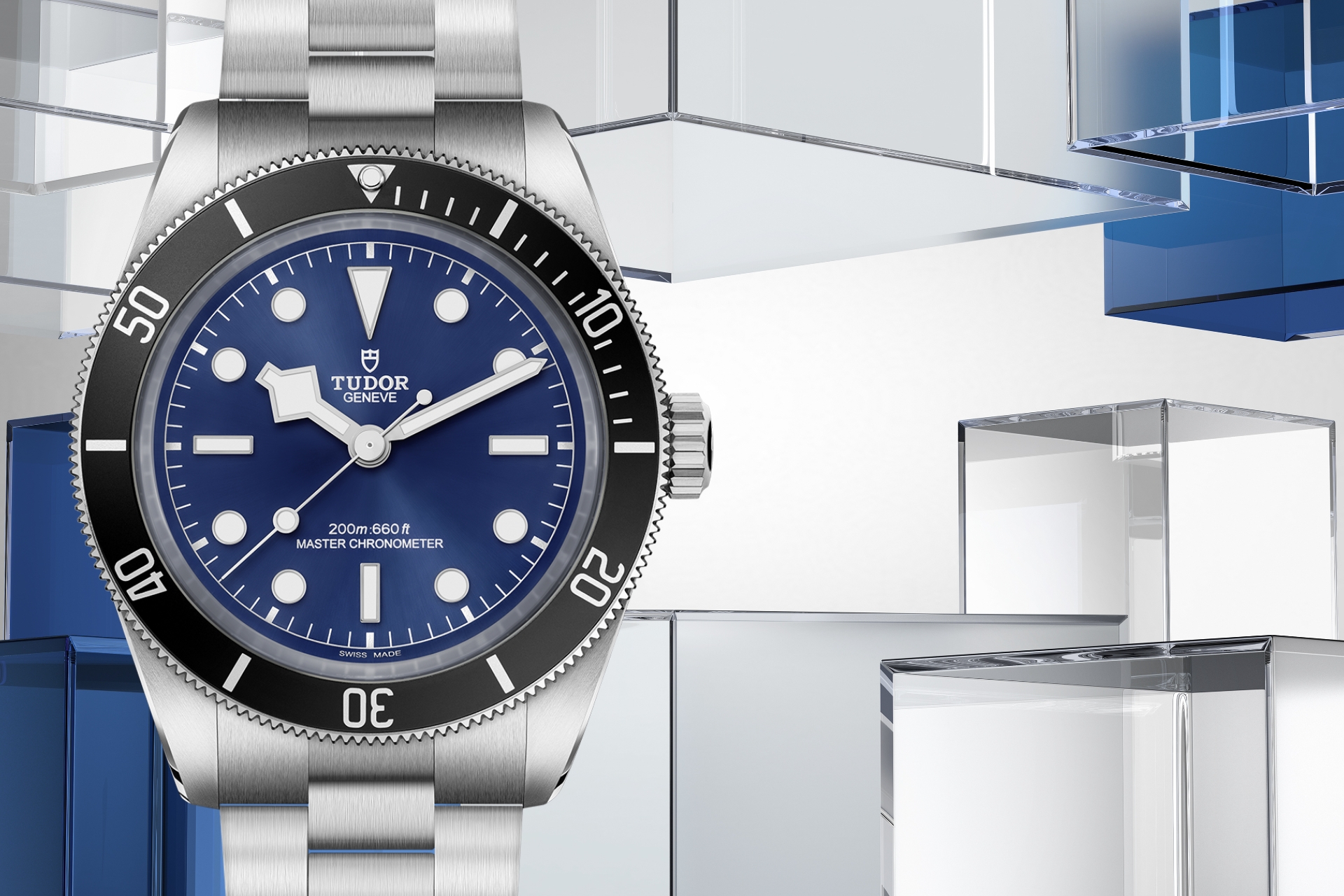 Tudor-banner (26) Tudor-banner (26)