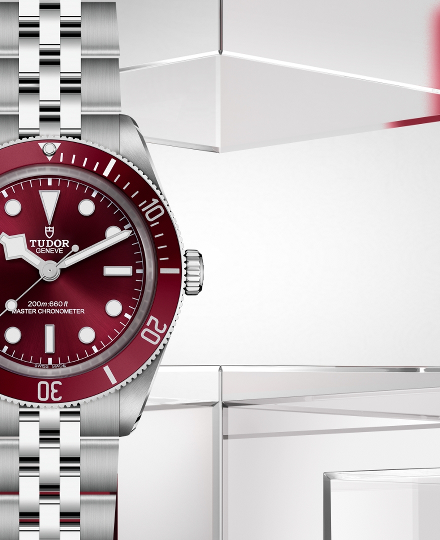 Tudor Black Bay 880x1080