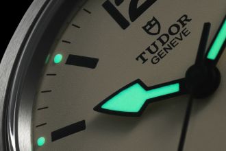 tudor-ranger-nahaufnahme