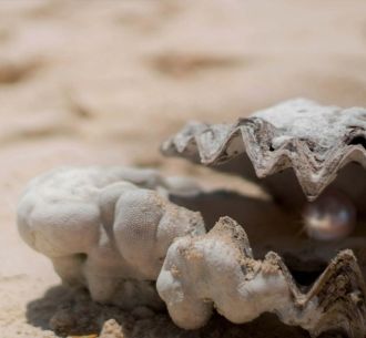 Schmuck und Uhren mit Perlmutt