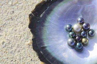 perlen-in-muschelschale