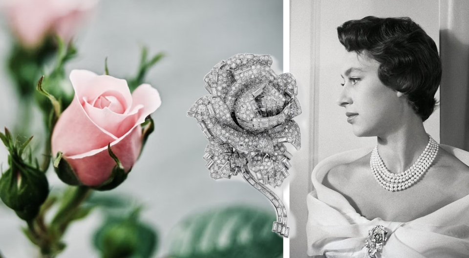 Rose_Header_mobil_1280x704px