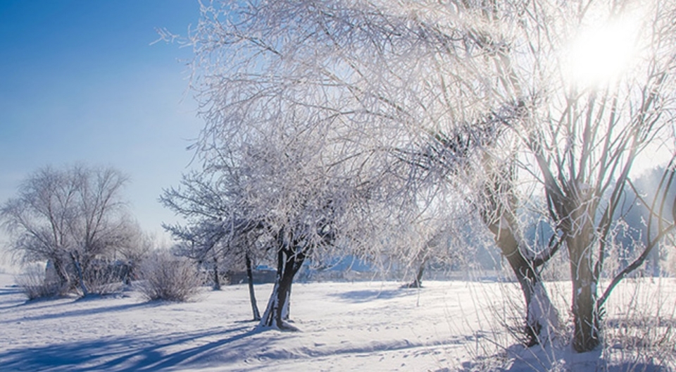 winterlandschaft-sonne-mob2