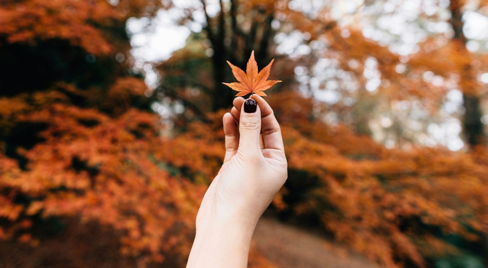 schmuckhighlights-herbst-schoko-mocha-caramell-herbstblatt-moody-mob2