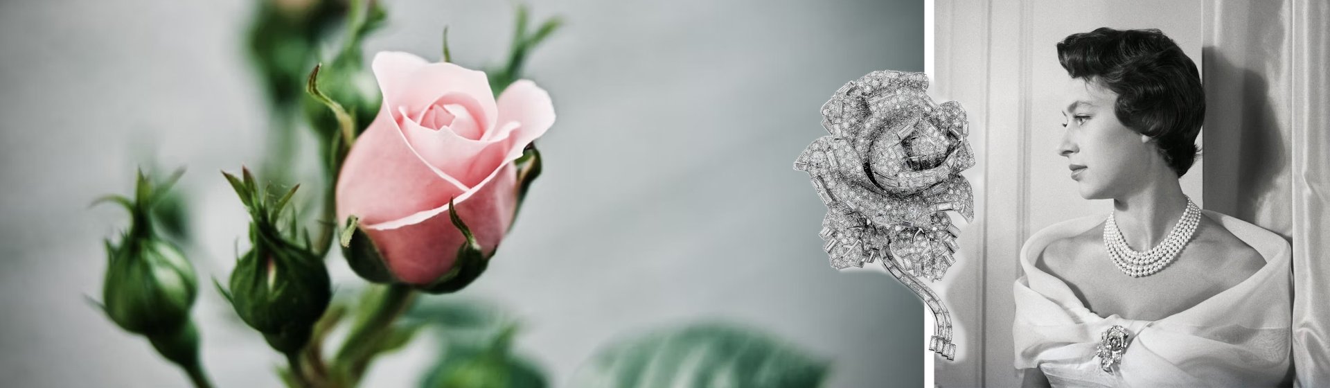 brosche-rose-diamanten