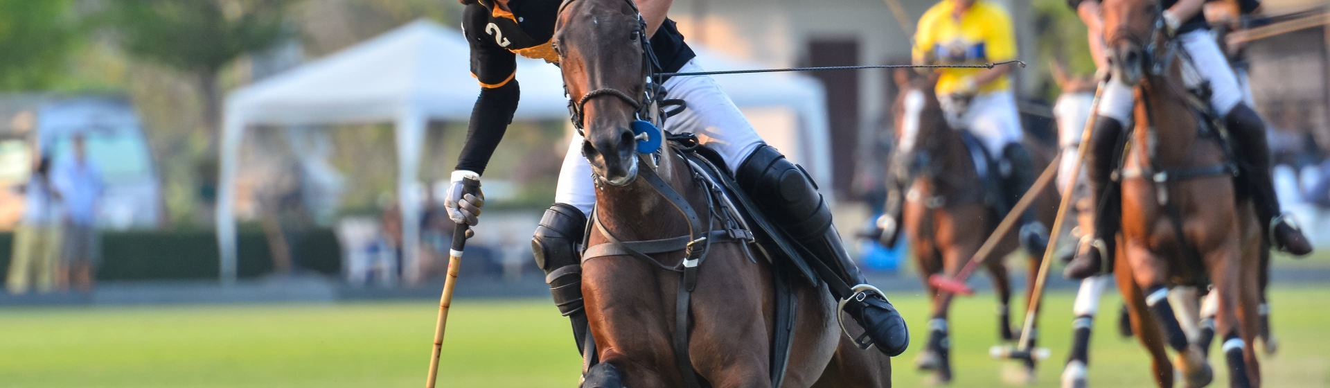 Polo-Dresden-Slider3840x1120