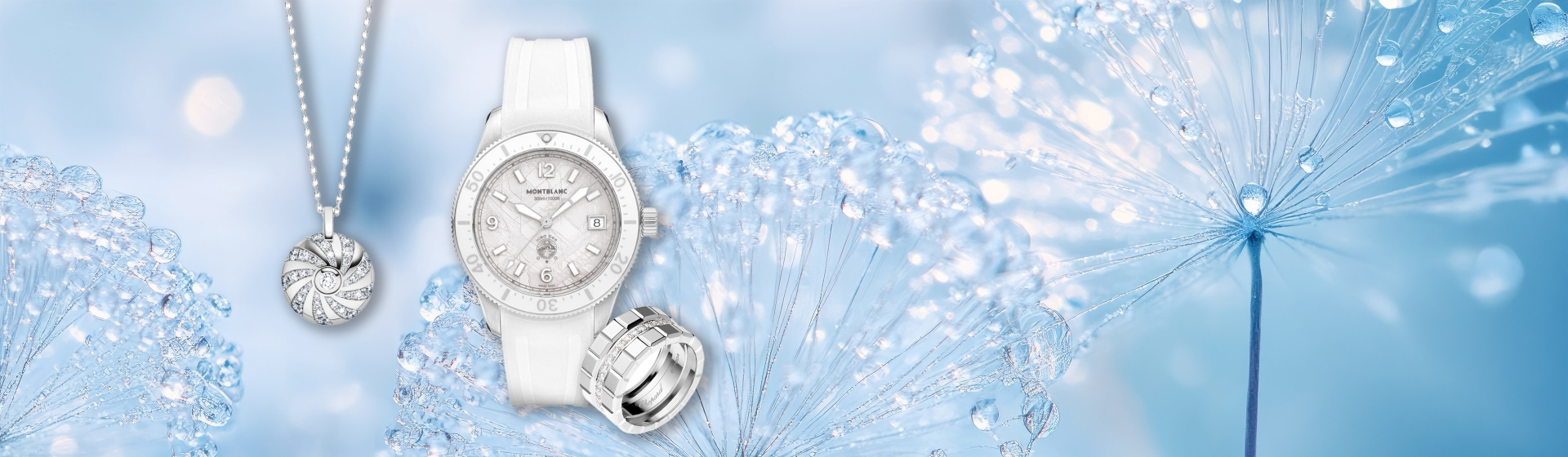 Header_3840x1120px_WinterWonderland