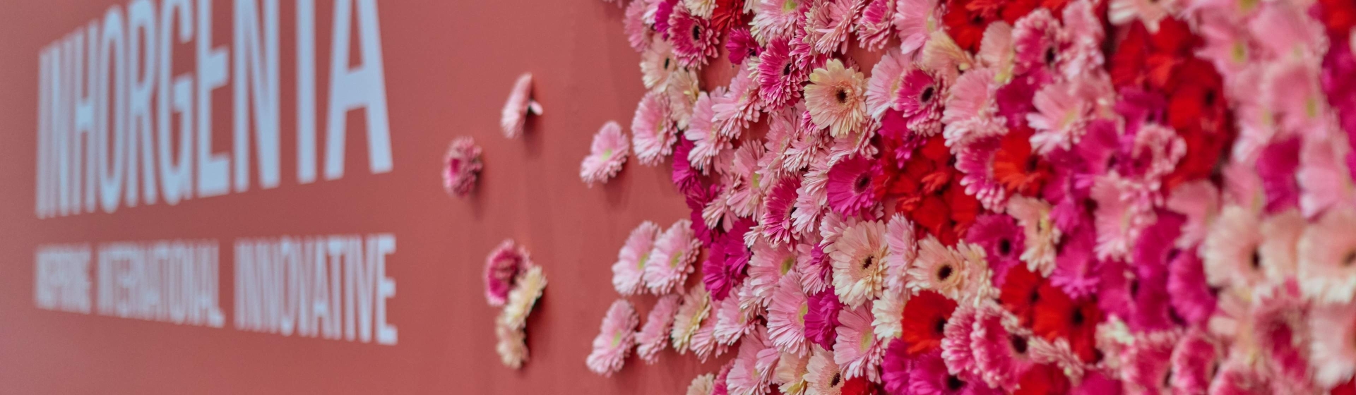 inhorgenta-dt-juwelierleicht-messe-eingang inhorgenta-dt-juwelierleicht-messe-eingang