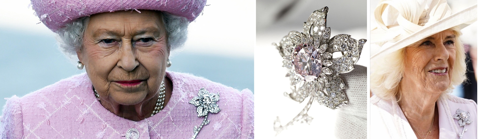 Narzisse_Header_Desktop_3840x1120px Narzisse_Header_Desktop_3840x1120px