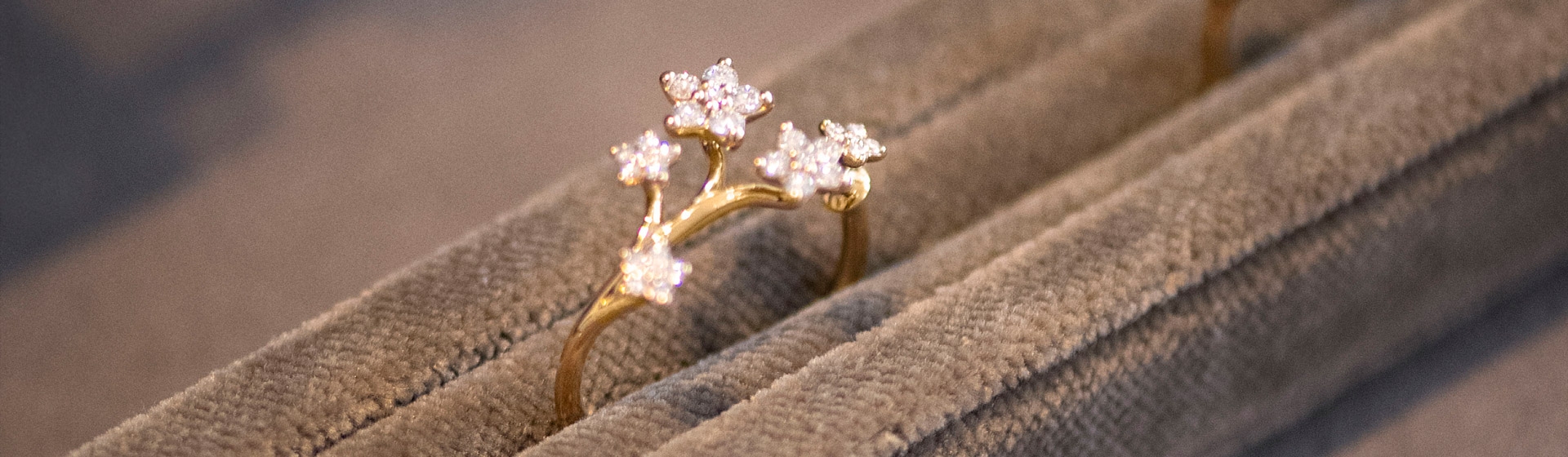 Header-OL-Shooting-Stars Header-OL-Shooting-Stars