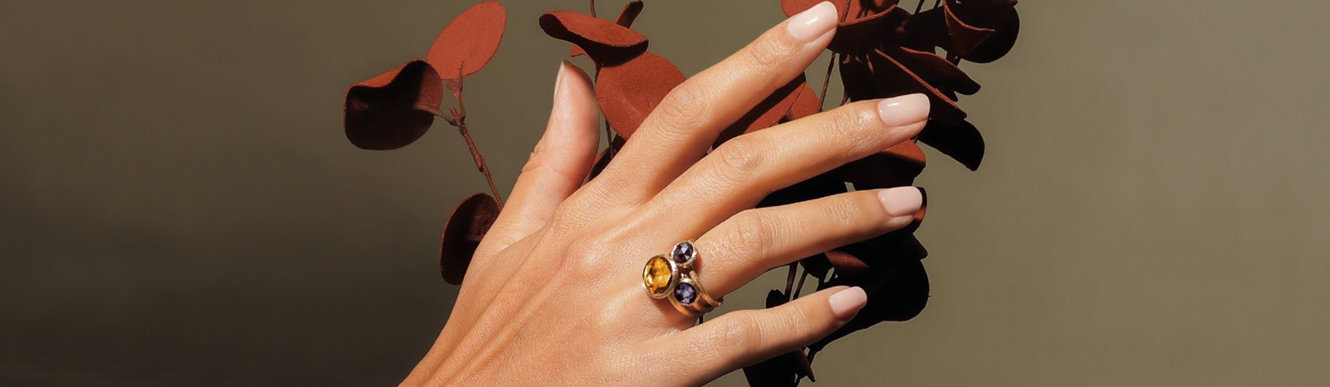 Header-Herbstschönheiten-1920x560 Header-Herbstschönheiten-1920x560