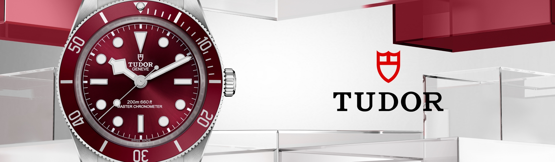 tudor-blackbay-dt-watchesandwonders tudor-blackbay-dt-watchesandwonders