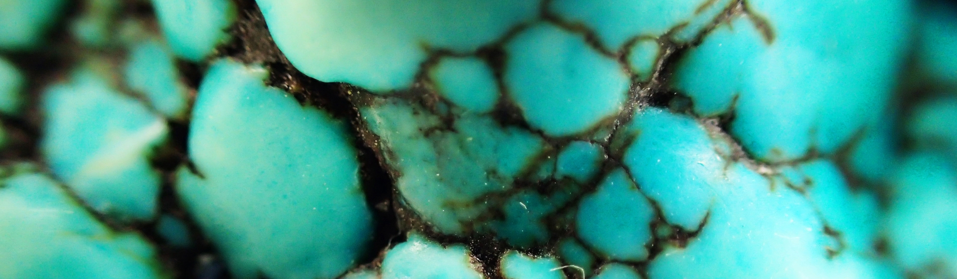 Header_3840x1120px Header_3840x1120px