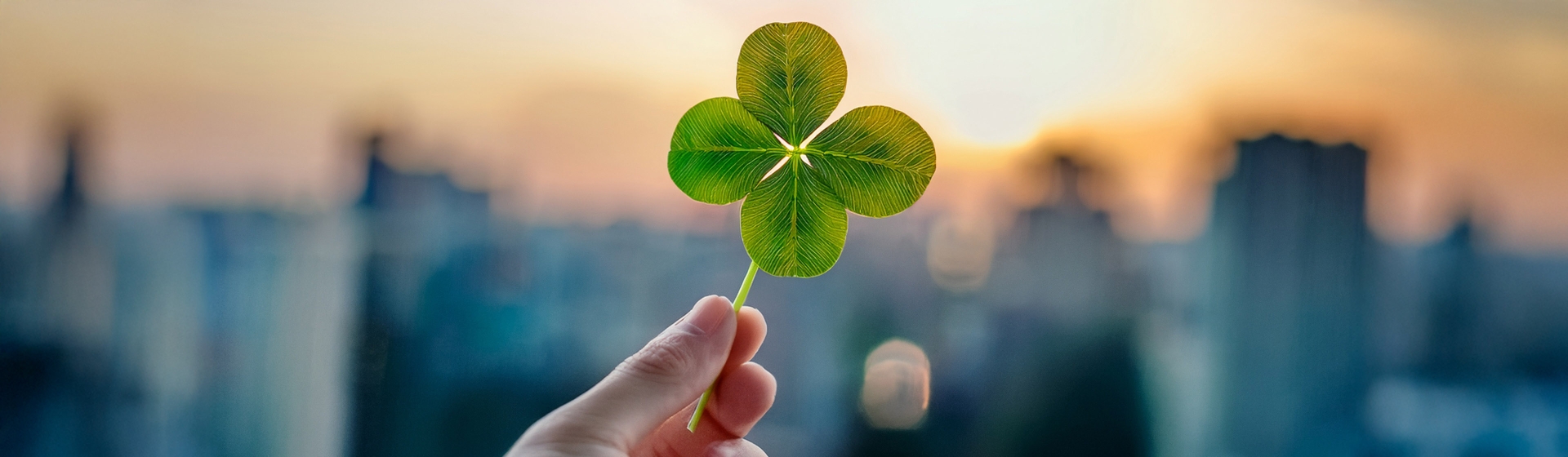 gluecksbringer-kleeblatt-neujahr-desk