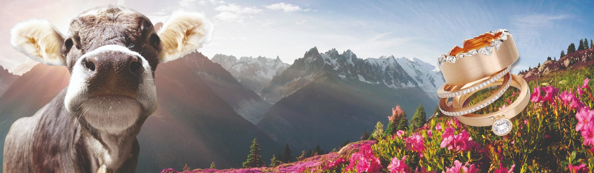 allgaeuer-kuh-schmuckwerk-ringe