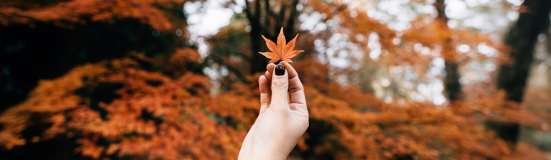 schmuckhighlights-herbst-schoko-mocha-caramell-herbstblatt-moody-desk schmuckhighlights-herbst-schoko-mocha-caramell-herbstblatt-moody-desk
