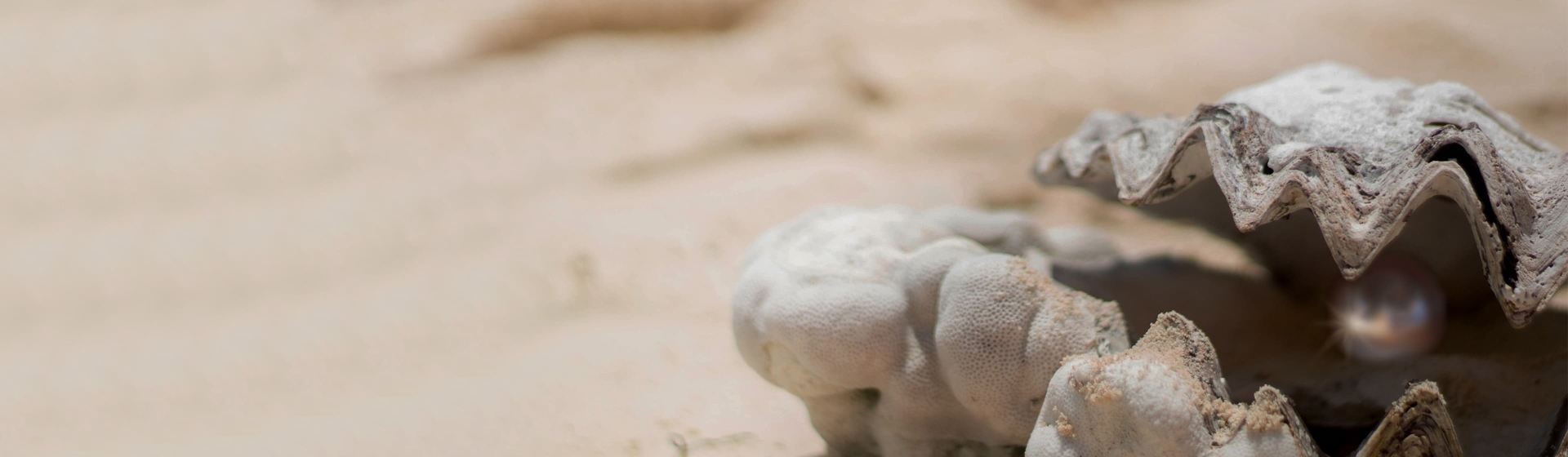 Header-Perlenzauber_3840x1120 Header-Perlenzauber_3840x1120