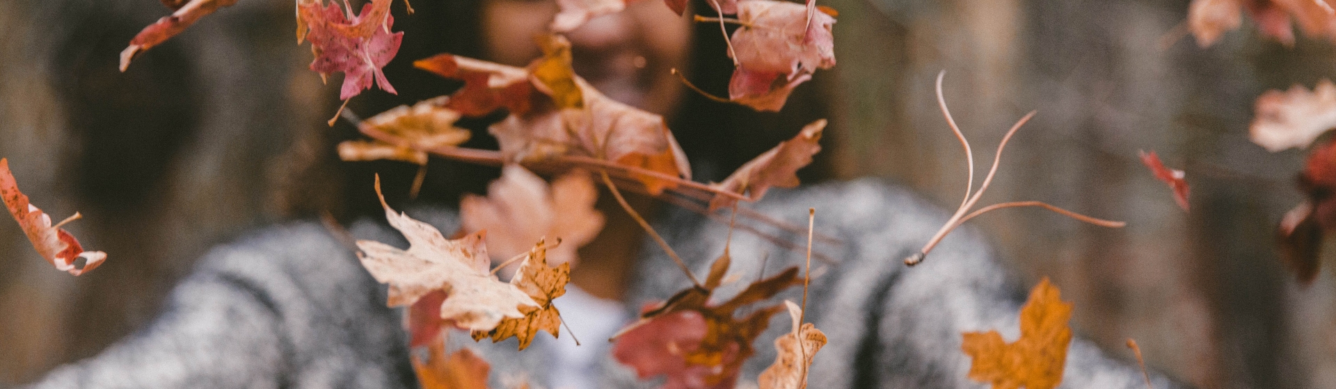 Header Desktop Header Desktop