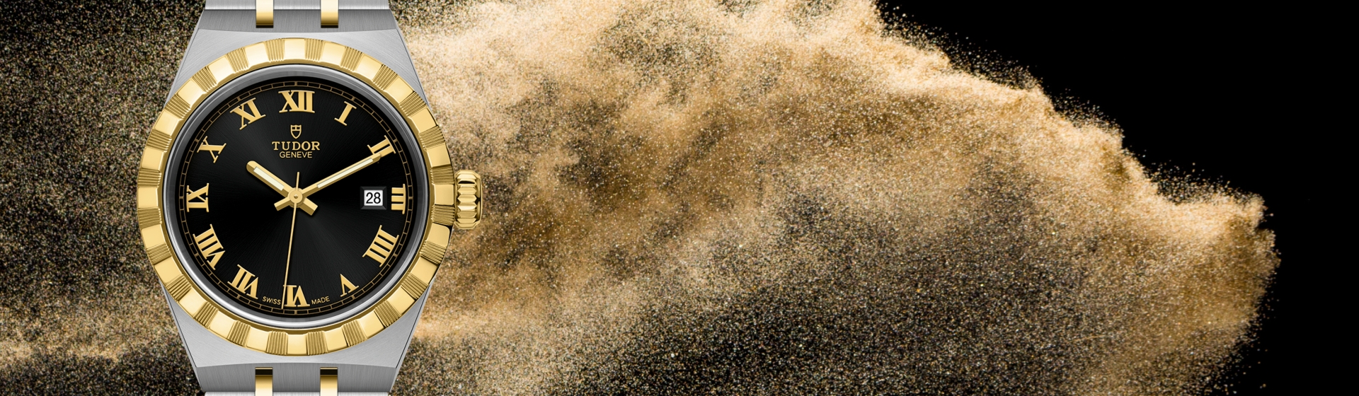 Tudor-banner (6) Tudor-banner (6)