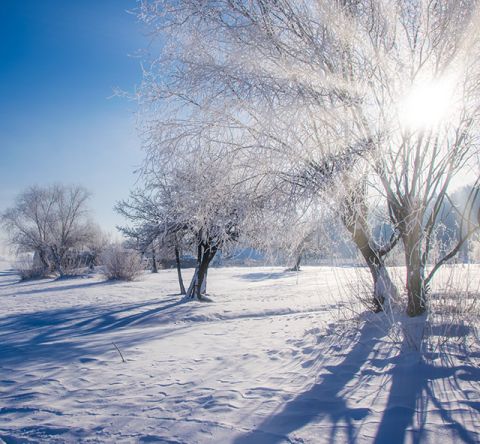 winterlandschaft-sonne winterlandschaft-sonne