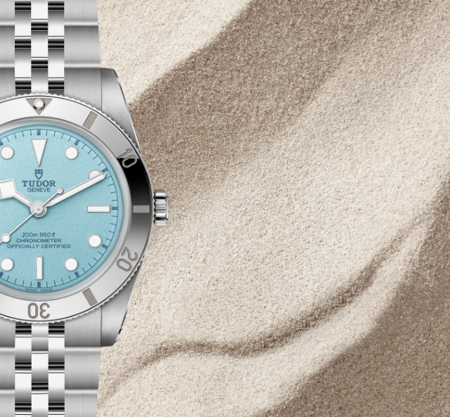 Tudor Header 640x592