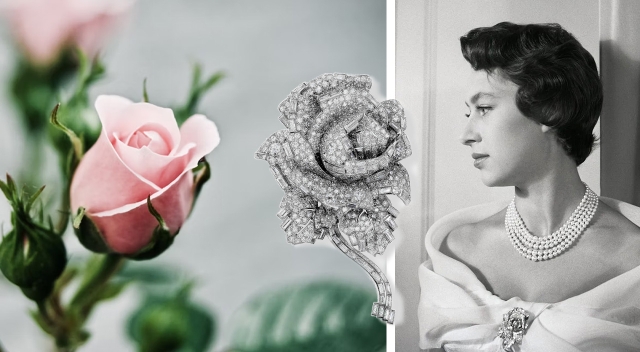 Rose_Header_mobil_1280x704px Rose_Header_mobil_1280x704px