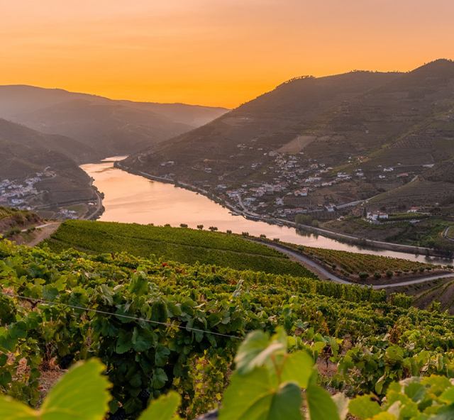 Reisebroschüre Header 640x592