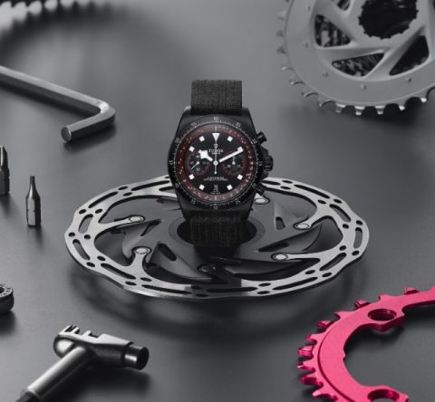 tudor-pelagos tudor-pelagos