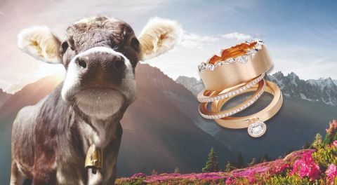 allgaeuer-kuh-schmuckwerk-ringe allgaeuer-kuh-schmuckwerk-ringe